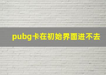 pubg卡在初始界面进不去