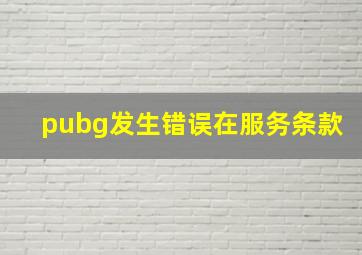 pubg发生错误在服务条款