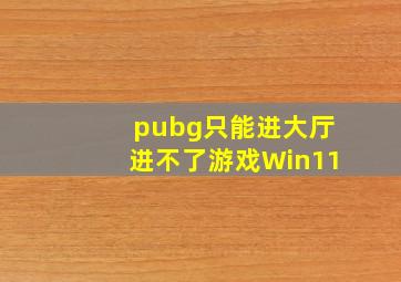 pubg只能进大厅进不了游戏Win11