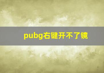 pubg右键开不了镜