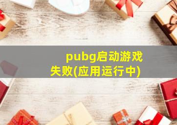 pubg启动游戏失败(应用运行中)