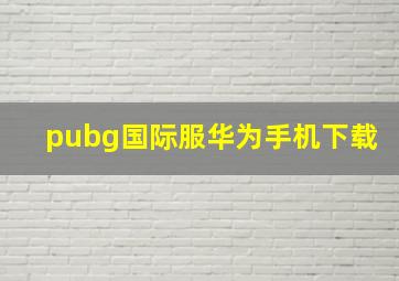 pubg国际服华为手机下载