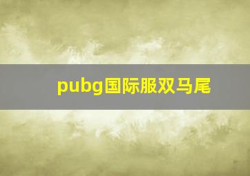 pubg国际服双马尾