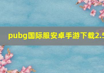 pubg国际服安卓手游下载2.5