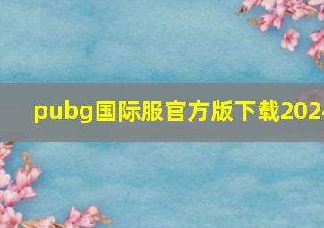 pubg国际服官方版下载2024