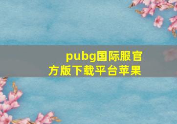 pubg国际服官方版下载平台苹果