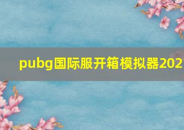 pubg国际服开箱模拟器2021