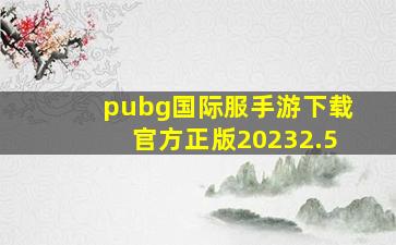 pubg国际服手游下载官方正版20232.5