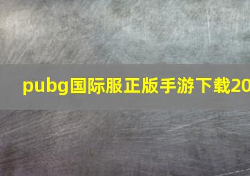 pubg国际服正版手游下载20