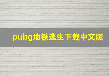 pubg地铁逃生下载中文版