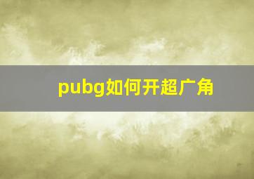 pubg如何开超广角