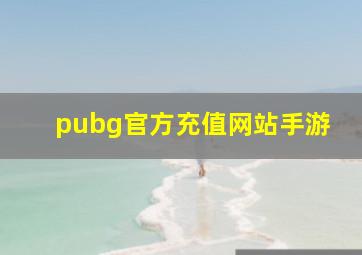 pubg官方充值网站手游