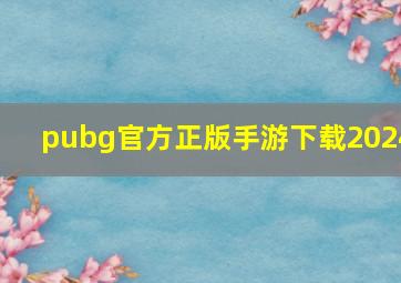 pubg官方正版手游下载2024