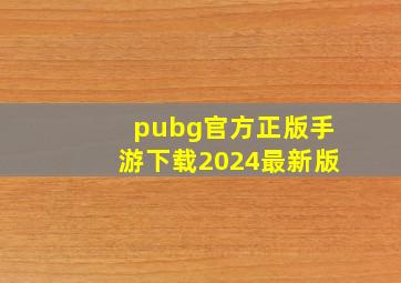 pubg官方正版手游下载2024最新版