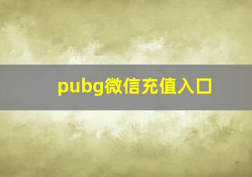 pubg微信充值入囗