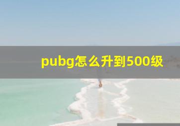 pubg怎么升到500级