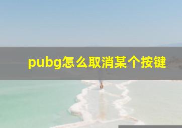 pubg怎么取消某个按键