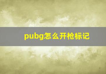 pubg怎么开枪标记