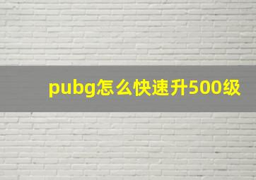 pubg怎么快速升500级