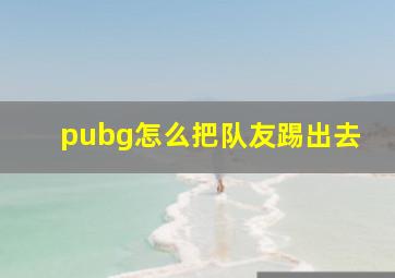 pubg怎么把队友踢出去