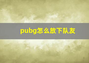 pubg怎么放下队友