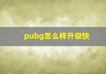 pubg怎么样升级快