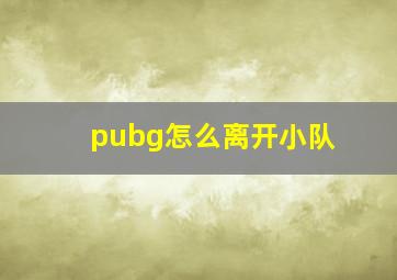 pubg怎么离开小队