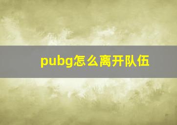 pubg怎么离开队伍