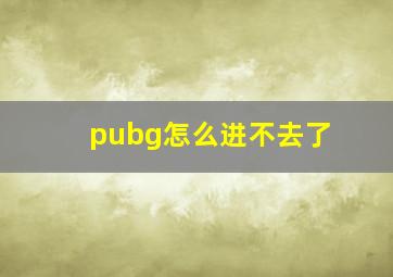 pubg怎么进不去了