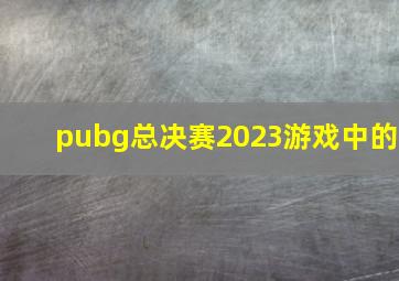 pubg总决赛2023游戏中的