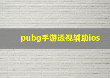 pubg手游透视辅助ios