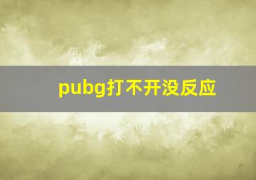 pubg打不开没反应