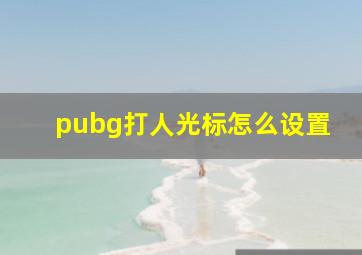 pubg打人光标怎么设置