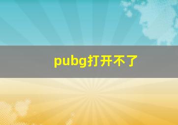 pubg打开不了