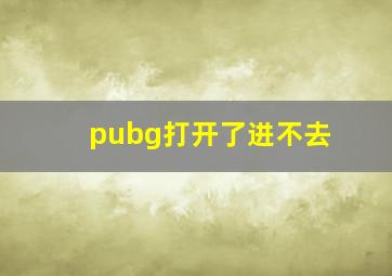 pubg打开了进不去