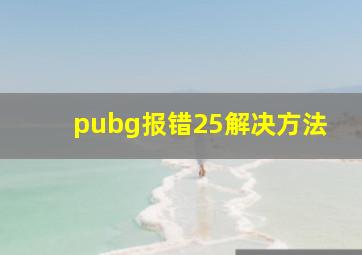 pubg报错25解决方法