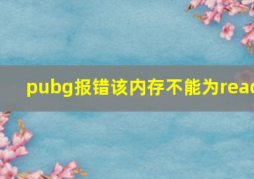 pubg报错该内存不能为read