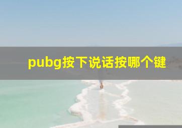 pubg按下说话按哪个键