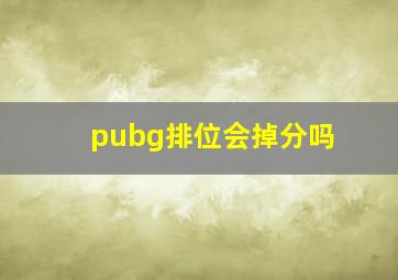 pubg排位会掉分吗