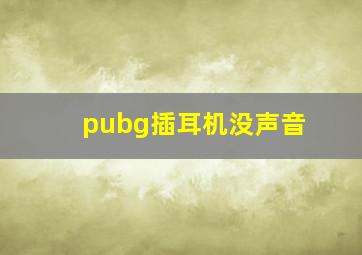 pubg插耳机没声音