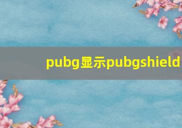 pubg显示pubgshield