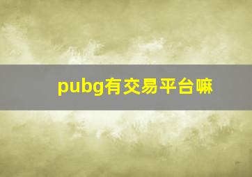 pubg有交易平台嘛