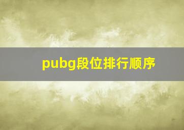 pubg段位排行顺序