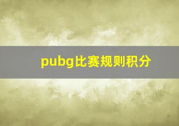 pubg比赛规则积分