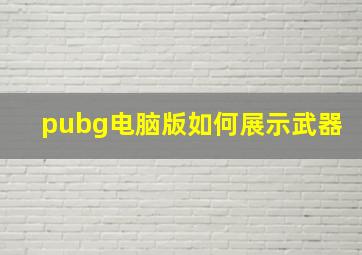 pubg电脑版如何展示武器