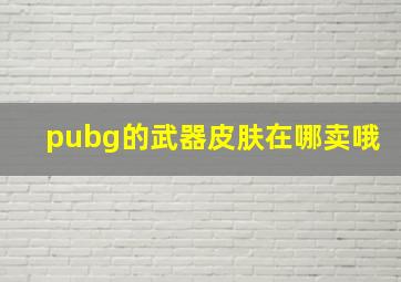 pubg的武器皮肤在哪卖哦