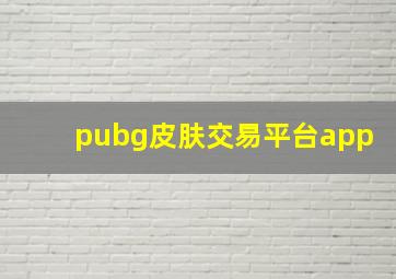 pubg皮肤交易平台app