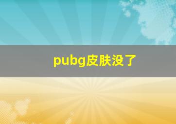 pubg皮肤没了