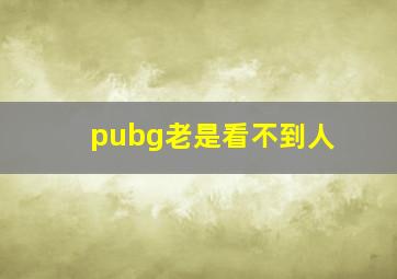 pubg老是看不到人