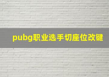 pubg职业选手切座位改键